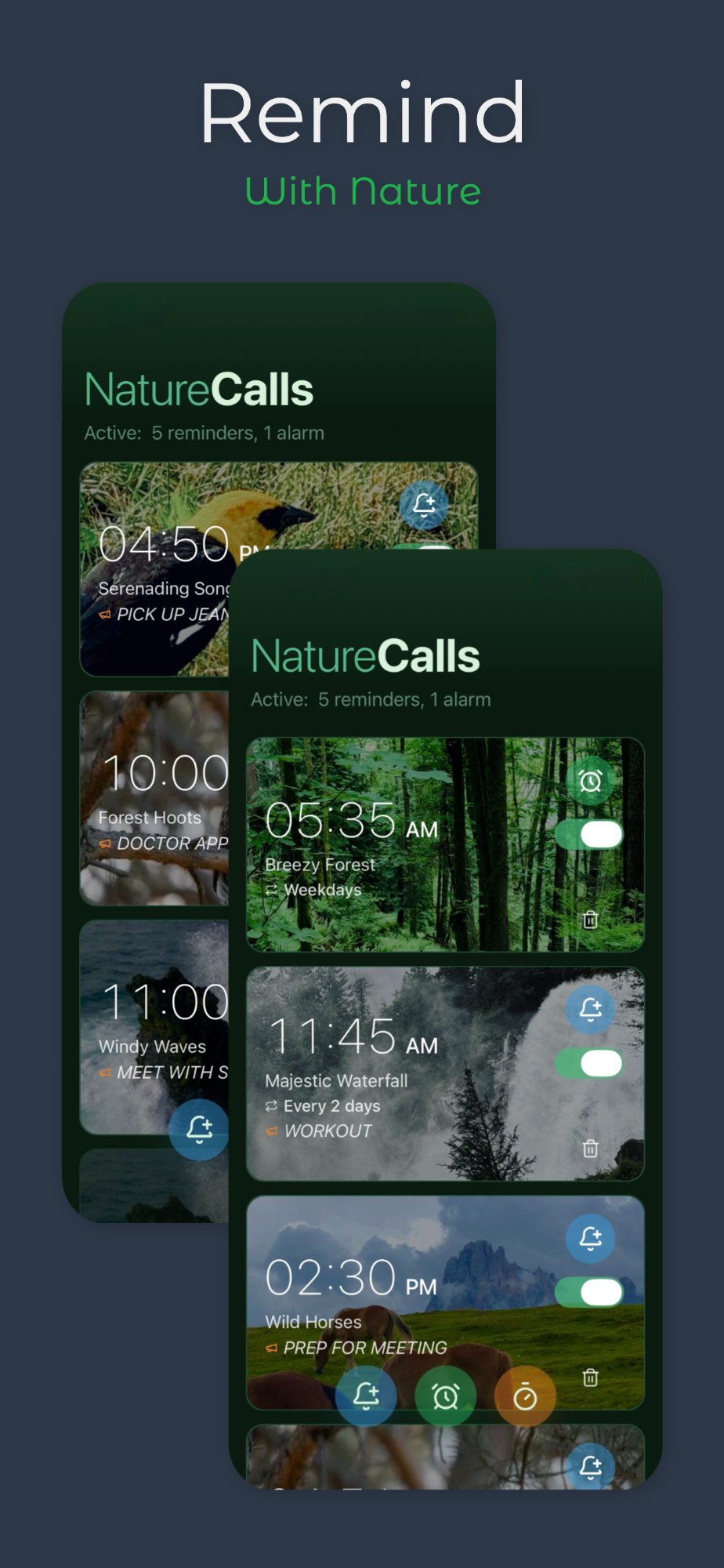 Reminder and alarm screens