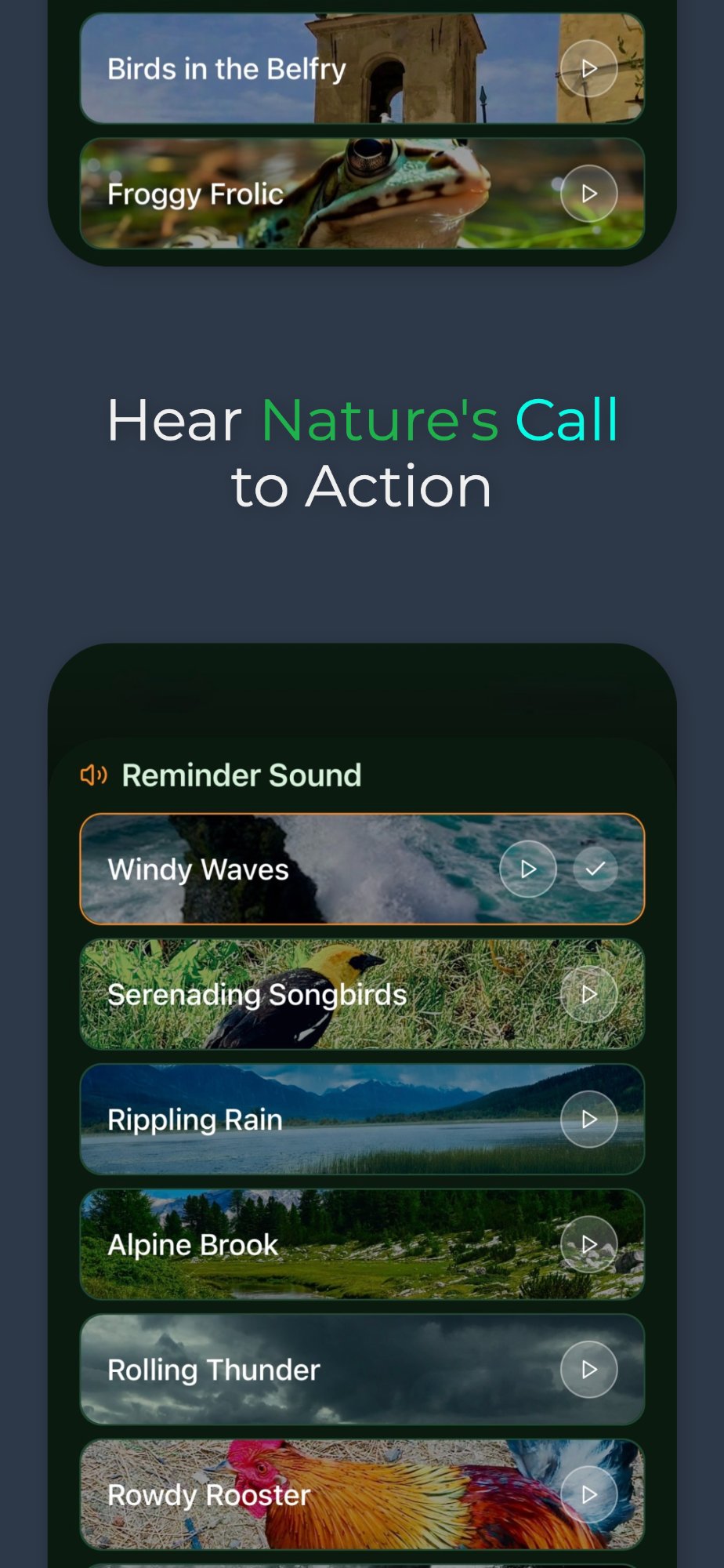 Nature sound library